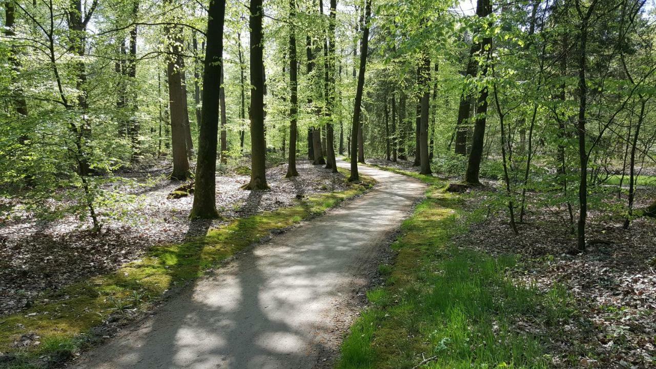 Fewo Grafschaft Nordhorn Εξωτερικό φωτογραφία