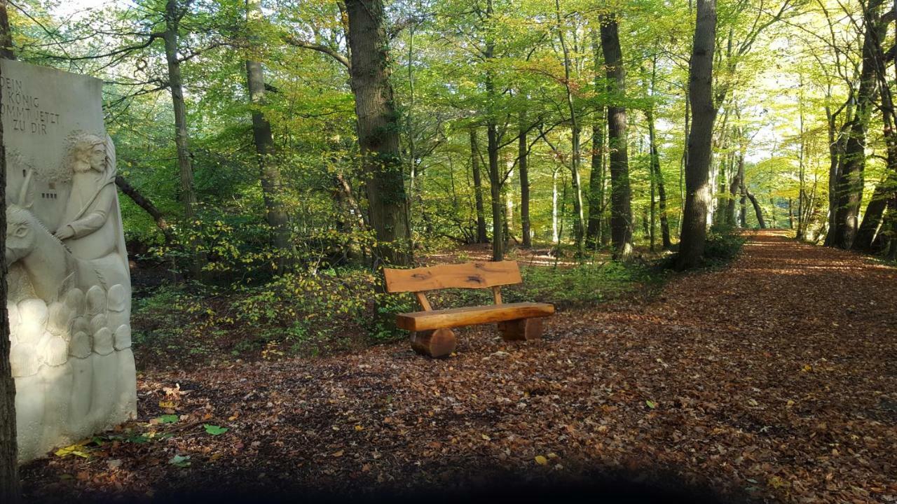 Fewo Grafschaft Nordhorn Εξωτερικό φωτογραφία