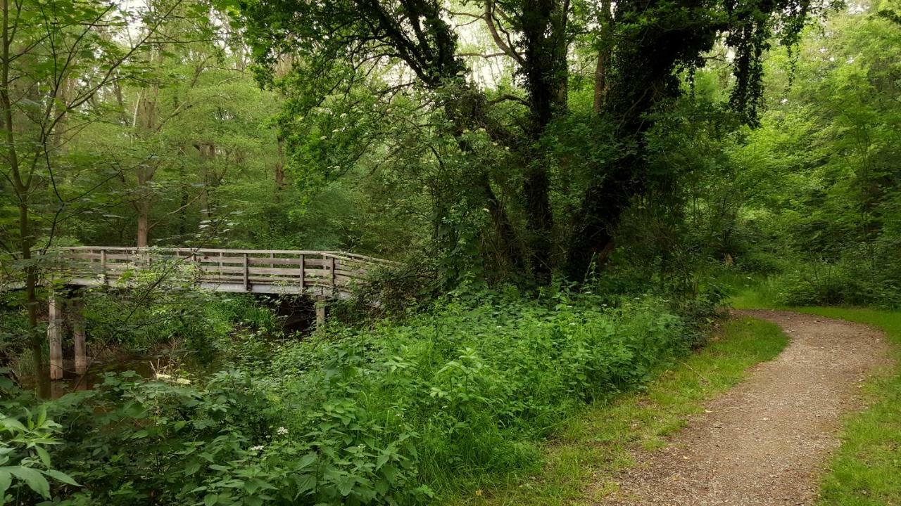 Fewo Grafschaft Nordhorn Εξωτερικό φωτογραφία