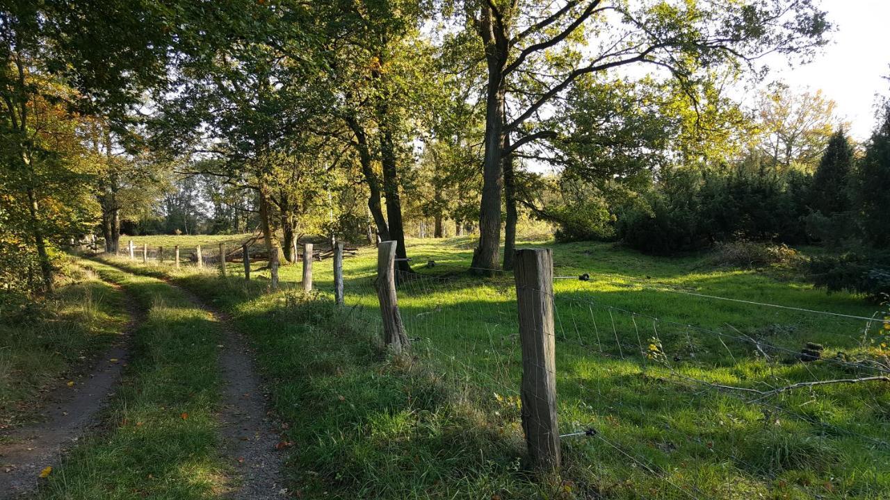 Fewo Grafschaft Nordhorn Εξωτερικό φωτογραφία